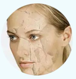 After-Sun Repair Liquid