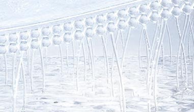 Silver Ion Feminine Care Gel